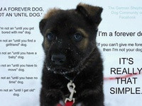 concerning the fight against animal cruelty, abuse and suffering ...