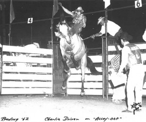 saddle bronc riding barrel racing and bull riding and clowns