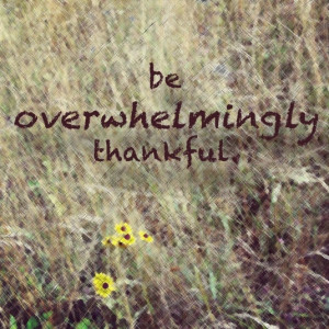 Quotes to Inspire Gratefulness This Season