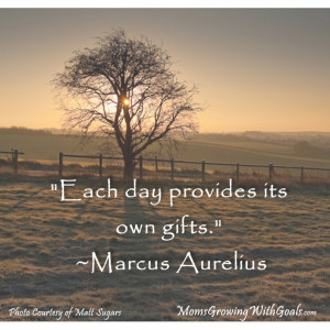 ... The Day: Motivational Quotes And The Picture Of The Tree In The Forest