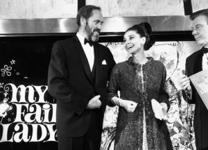 Funny Quotes Contact Us DMCA Notice