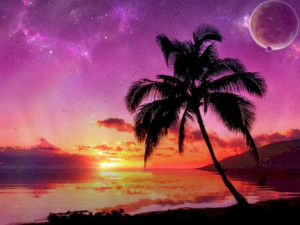 Tropical Beach Night Beaches Beautiful Nature Images And Wallpapers