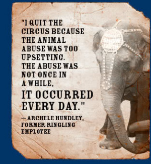 living conditions most animals used in the circus are meant