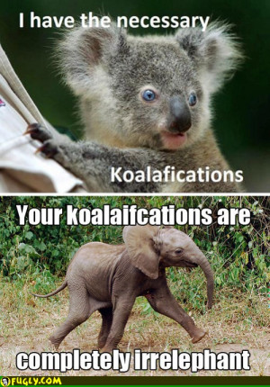 Irrelephant Koalafications