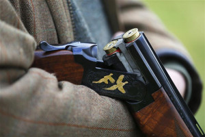 shotgun with pheasants engraved on it is seen during a pheasant hunt ...