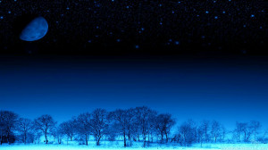 Blue Winter Night Landscape
