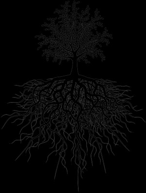 roots tree