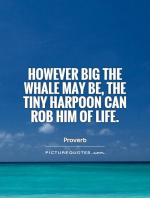 ... whale may be, the tiny harpoon can rob him of life. Picture Quote #1