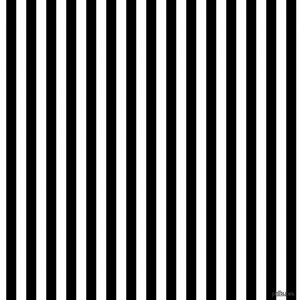 Black and White Vertical Lines