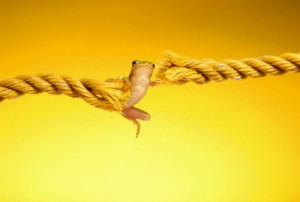 the-end-of-your-rope