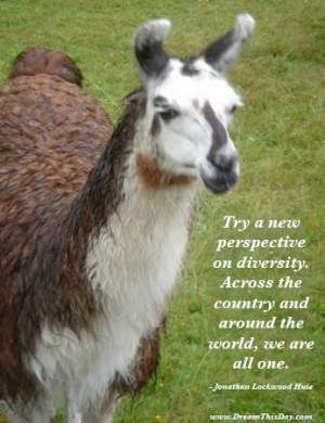 Try a new perspective on diversity .