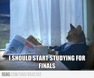 should start studying for finals