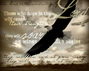 Deuteronomy 32:11 “like an eagle that stirs up its nest and hovers ...