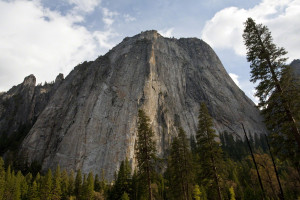 El Capitan Meadow Yosemite