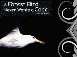 Freedom Quotes Graphics, Pictures