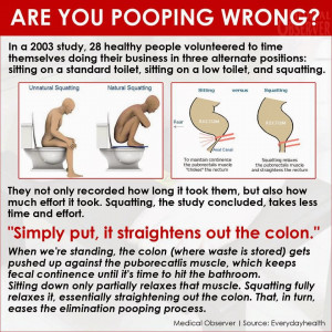 What's the proper way to 'poop'? Apparently, the position you use ...