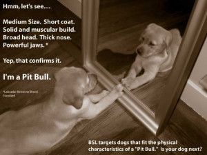 BSL: Why You Should Oppose It and How You Can Fight It