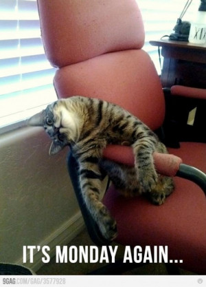 Found on Uploaded by user