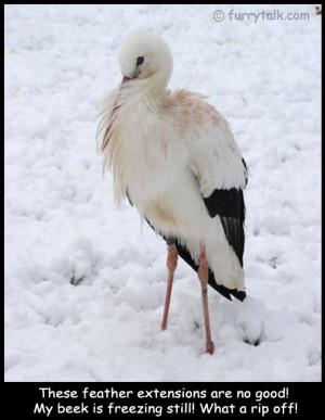 Freezing Cold Funny Pictures