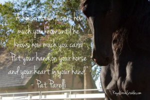 Horse Doent Care How Much You Know Until He Knows How Much You Care