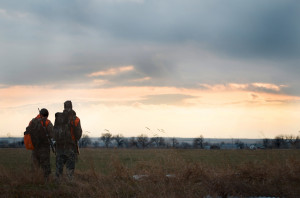 Montana Wild, mule deer, rifle, calling coyotes, Missoula, Havre, MT ...