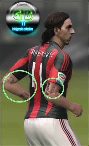 Zlatan Ibrahimovic picture