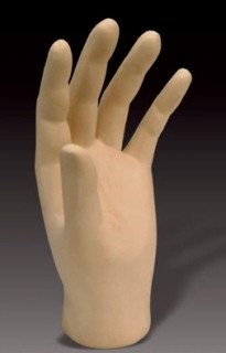 ... Hands are designed for users who place great importance in cosmetic