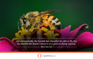 aerodynamically the bumble bee shouldnt be inspirational life quotes