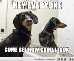 ... Pictures related funny will ferrell quotes funny anchorman memes funny