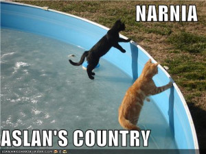 Narnia #narnia #aslan #aslan's country