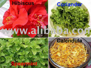 View Product Details: herbs and spices and medical plants