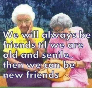 Funny friendship quotes – new friends ツ