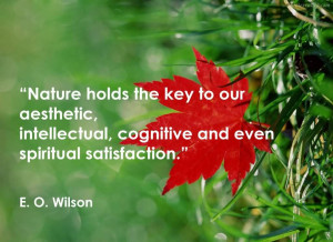 More Quotes Pictures Under: Nature Quotes