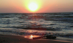 Funny Quotes Contact Dmca