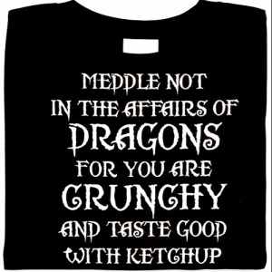 dragon, dragon t-shirts, dragons, dragon history