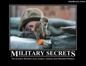Most popular tags for this image include: gun, monkey and soldier