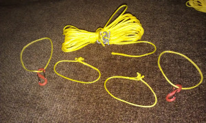 Thread: continuous ridgeline