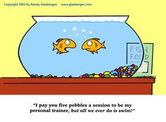 So much for personal training little fishy! #fish #funny