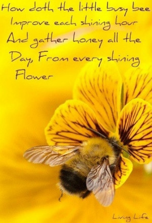 Busy Bee Quote