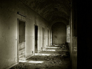 May 29, 2008 by dloris