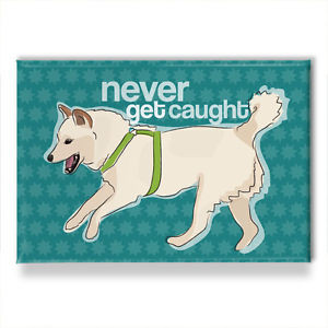Cream-Shiba-Inu-Refrigerator-Magnets-with-Funny-Sayings-Never-Get ...