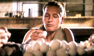 if you cannot quote at least one line from cool hand luke i am calling ...