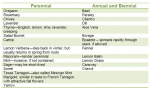 Garden Herbs List