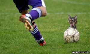 Blog de tanneur : détente après le boulot, photo marrante