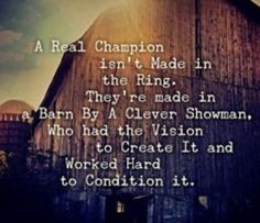 Horse Quotes, Stockshowlife, Stockshow Quotes, Quotes I, Horses Quotes