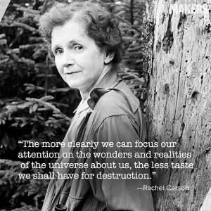 Displaying (19) Gallery Images For Rachel Carson Quotes...