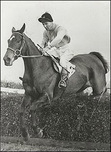 The photo is Dick Frances when he was a champion jockey. He went on ...
