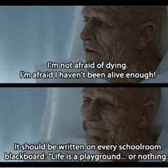 Mr Nobody More