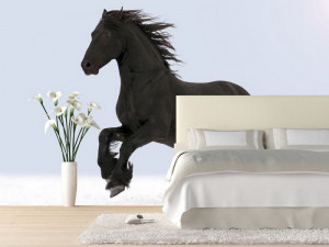 Bedroom Ideas with Black Horse Wall Mural Horse Wall Murals for ...