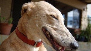 Funny Quotes With Serious Leadership Lessons